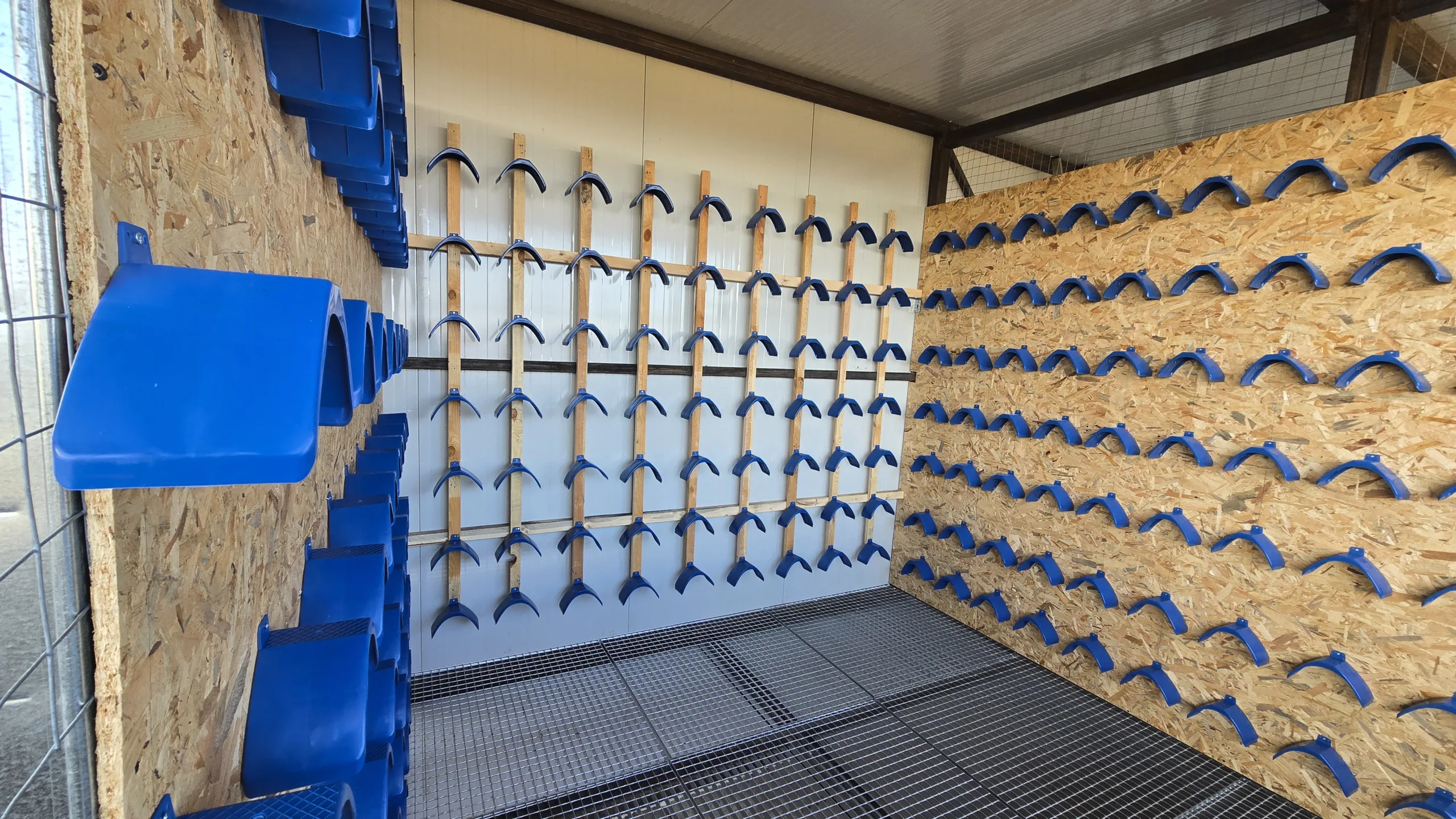 one loft racing, pigeon box