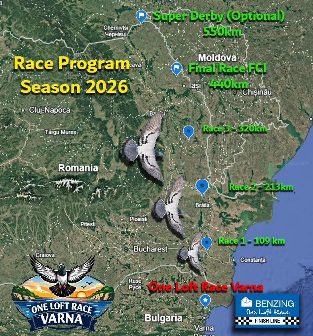 Racing Program One Racing Loft Varna, Pigeon Racing Bulgaria